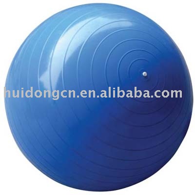 55cm PVC custom logo GYM Gymnastic Ball